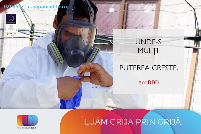   Dezinsecție specializată pentru școli și grădinițe