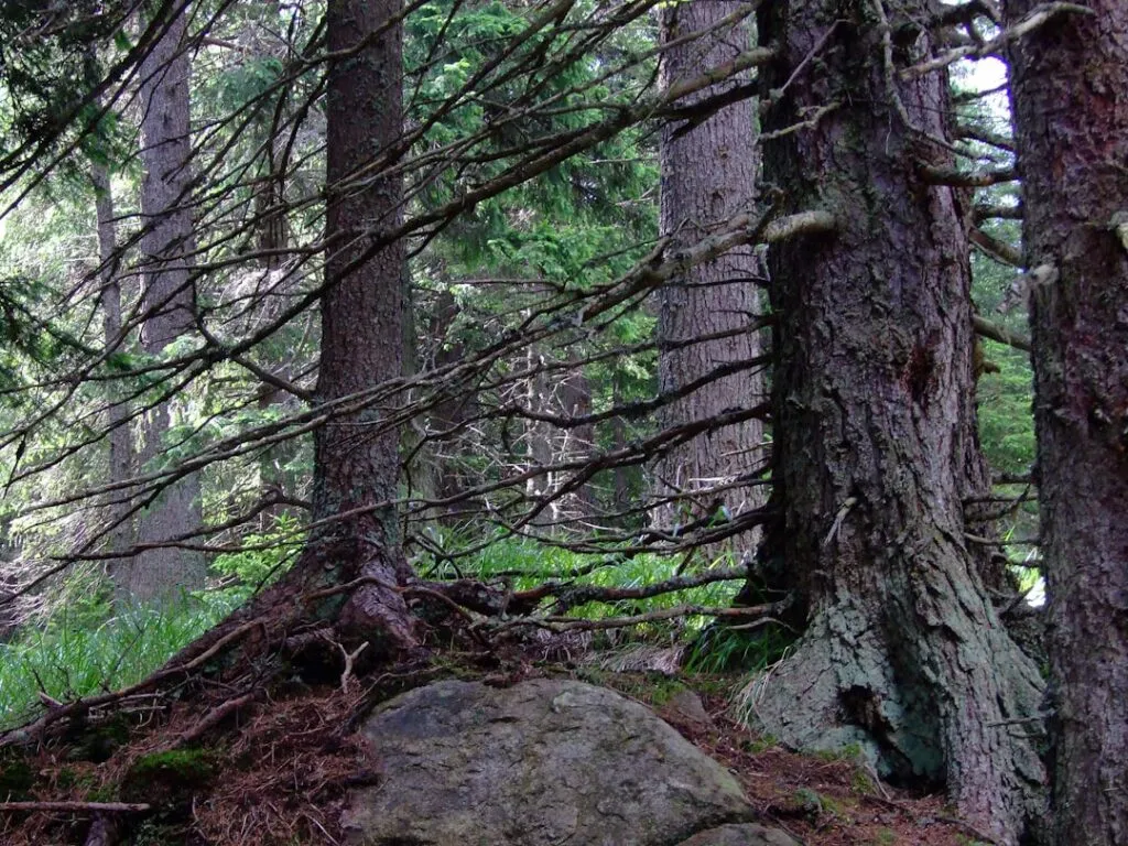 Photo Retezat Mountains