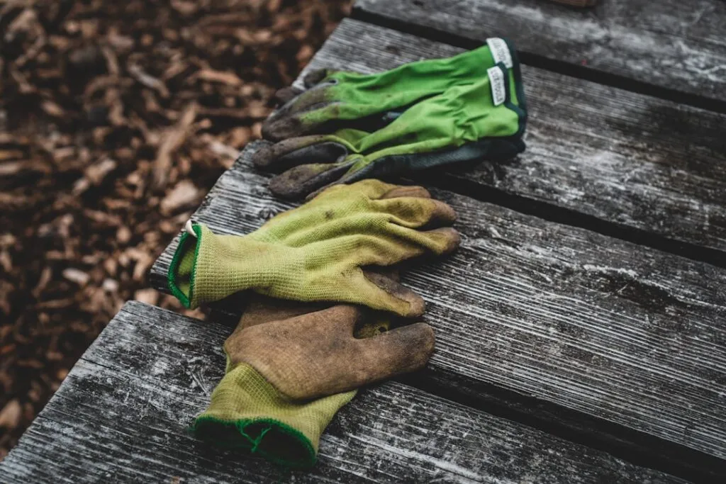 Idei de grădinărit pentru începători: Ghidul complet Photo Gardening tools