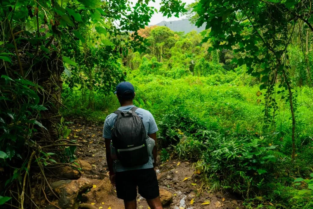 Photo Nature hike