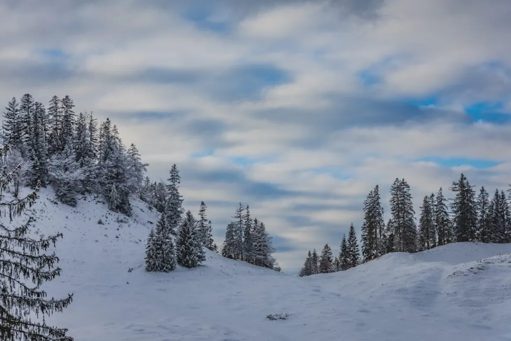 Ghidul călătorului de iarnă prin Transilvania Photo Snowy landscape
