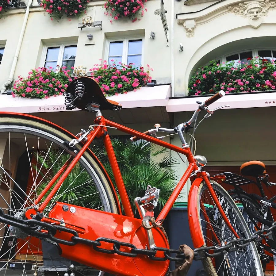 Photo Transylvania on Two Wheels: A Guide for Cycling Enthusiasts