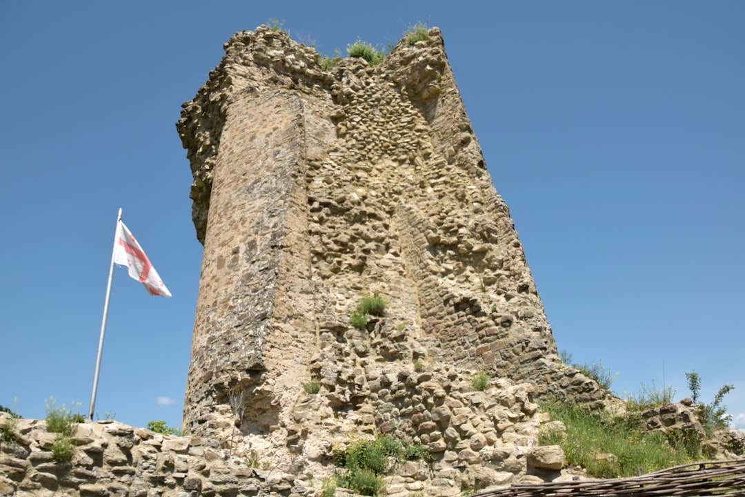 Photo Vrancea Castle