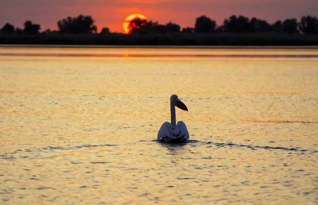 Photo Danube Delta