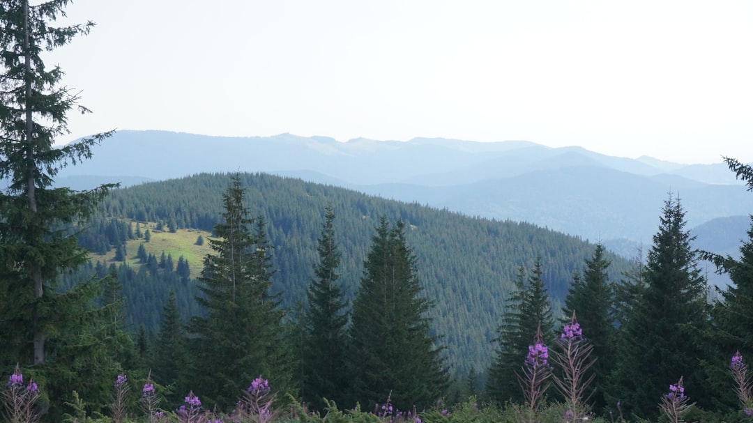 Photo Carpathian Mountains