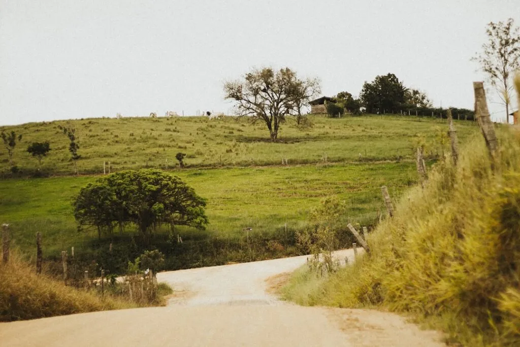 Photo Rural landscape