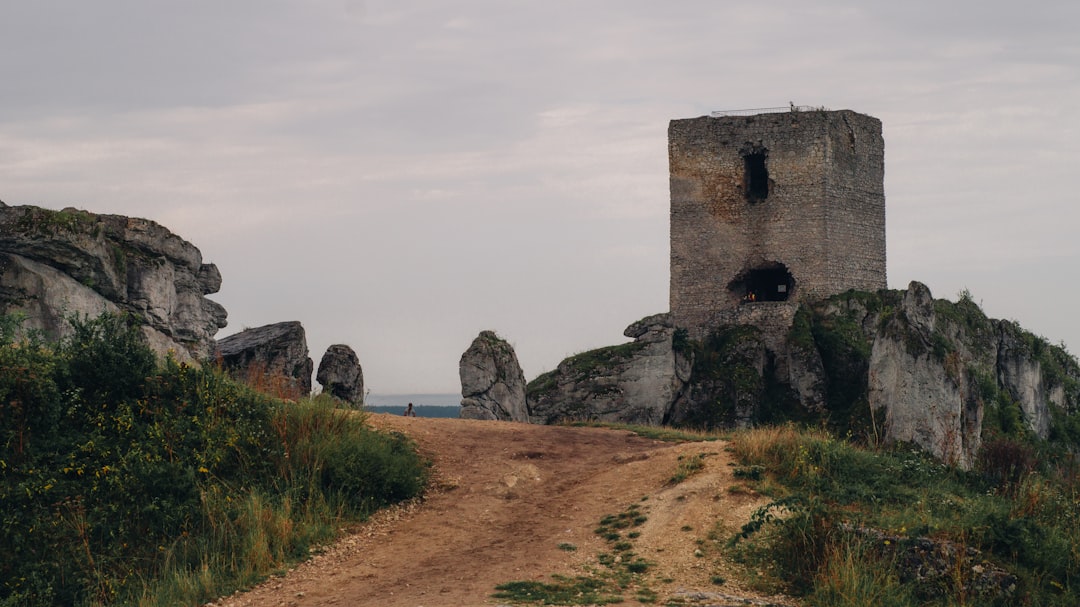 Photo Historical Objectives Piatra Neamț