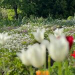Unde Să Mergi În Iași – 3 Zile De Vizitat