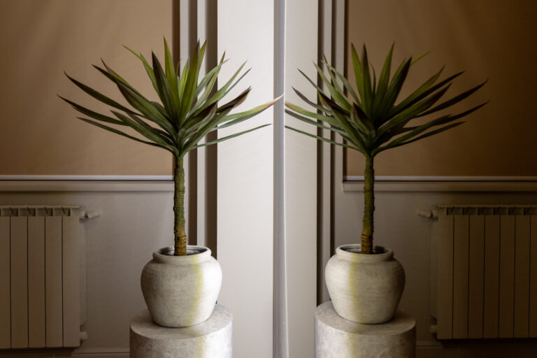 Momente de liniște și confort absolut