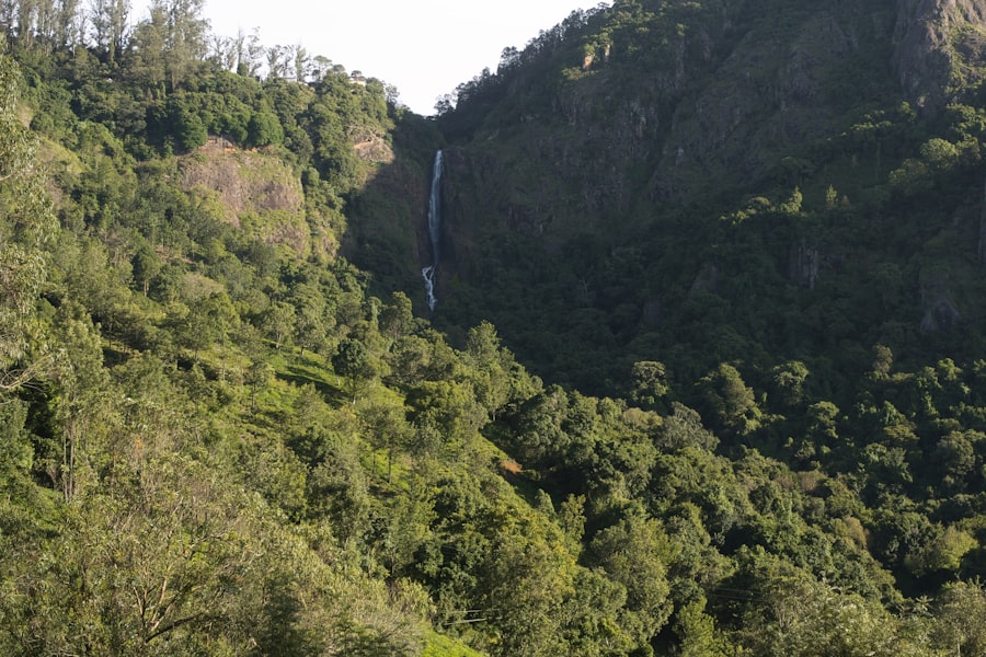 Photo nature tourism