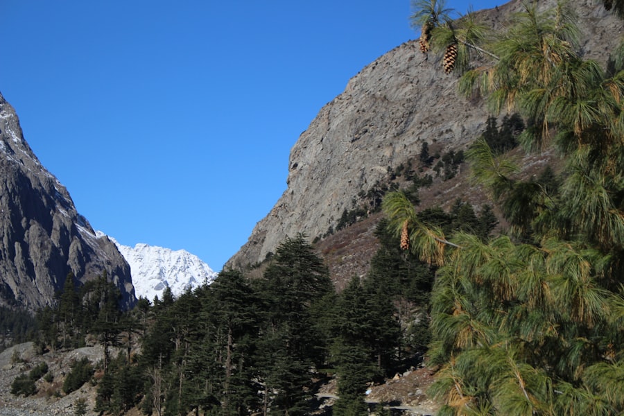 Photo mountain tourism