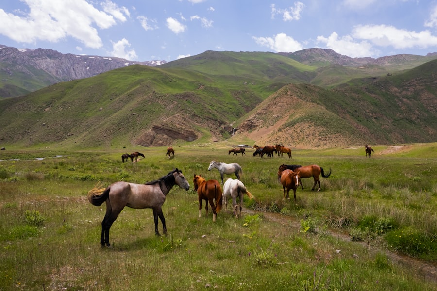 Photo spectacular places