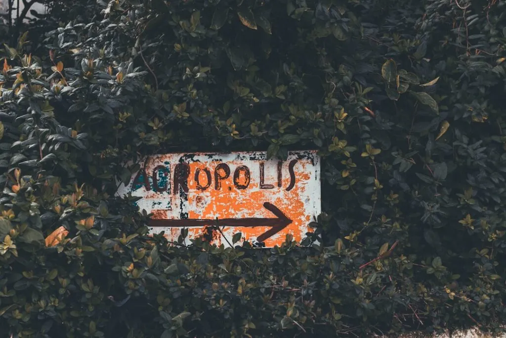 Top 5 trasee turistice pentru turiști cu opriri gastronomice Photo tourist routes