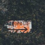 Top 5 trasee turistice pentru turiști cu opriri gastronomice