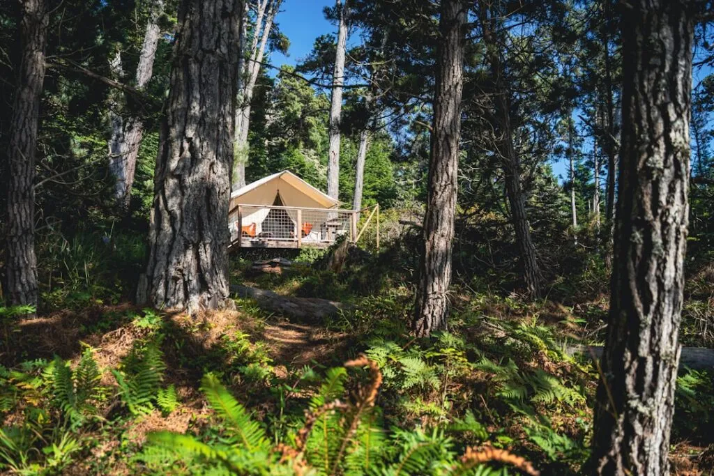 Cele mai frumoase locuri de tip glamping pentru o noapte sub stele Photo glamping