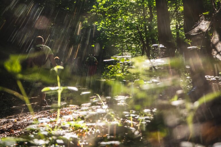 Turismul de natură și reconectarea cu tine