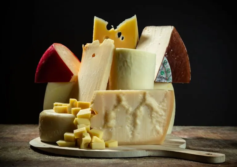 Photo cheese tasting