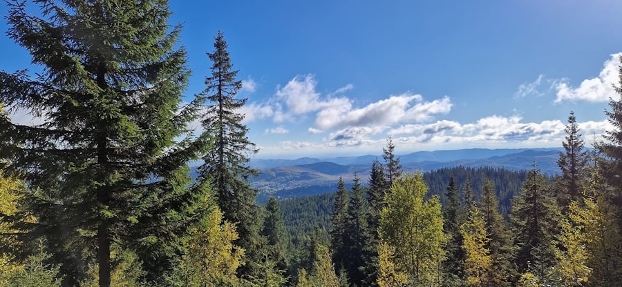 Apuseni Mountains