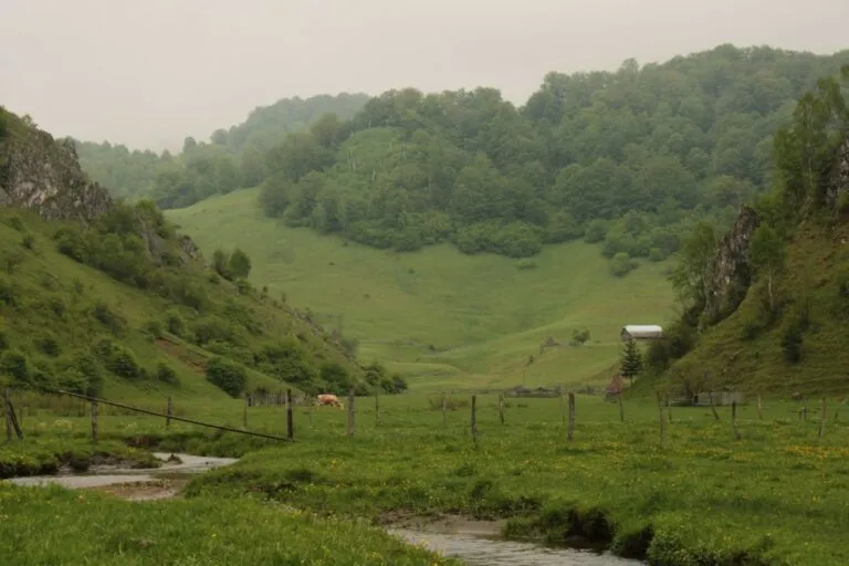 De ce merită văzute canioanele și cascadele din România Photo canyons and waterfalls Romania