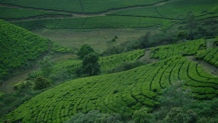 Photo rural tourism