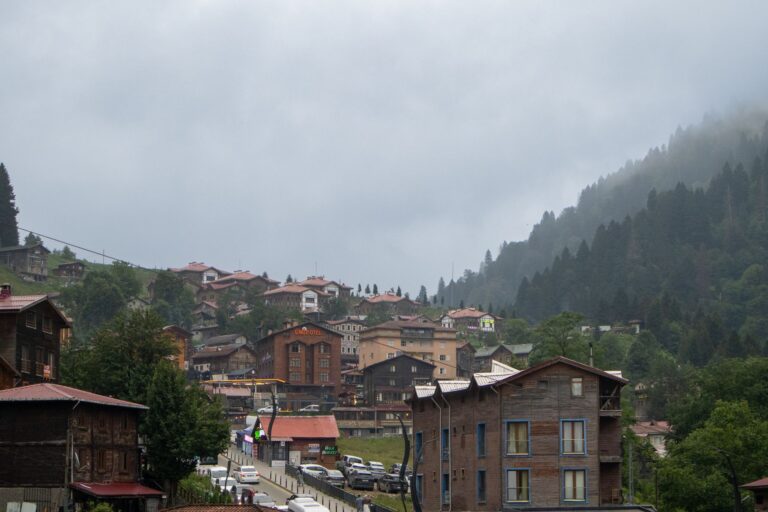 Pensiune din lemn într-un sat de munte, cu flori la balcon și pădure de brazi în fundal