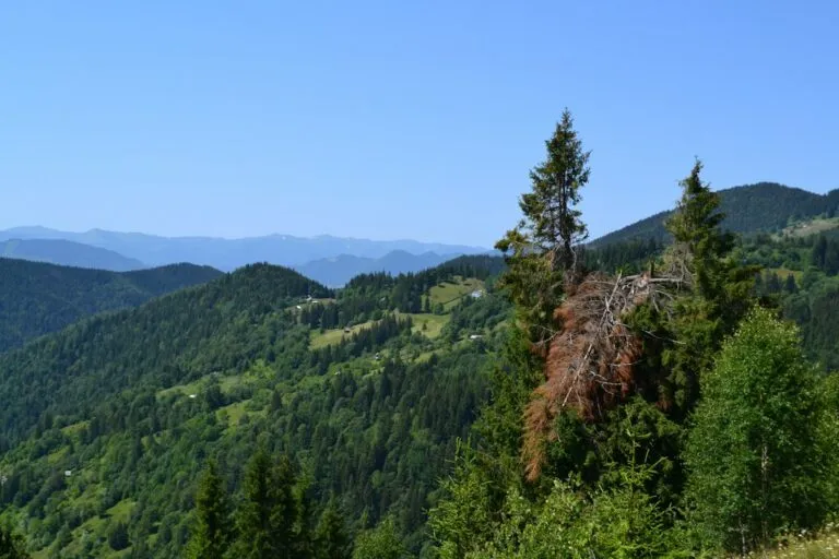 Photo Carpathian Mountains overview