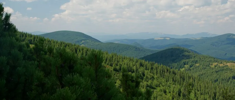 Photo Carpathian Mountains overview
