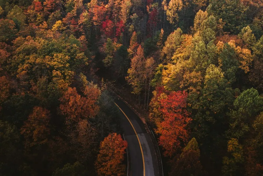 Photo autumn travel tips
